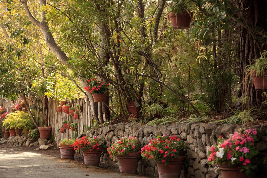 Old Monterey Inn Exterior foto